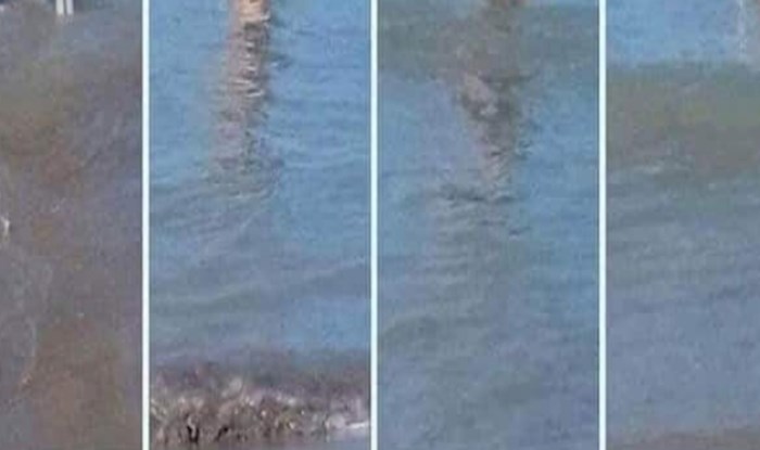 Unuk i djed htjeli su skakati u more na pješčanoj plaži, morate vidjeti kako su riješili problem