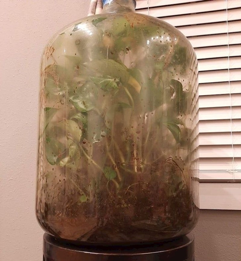 "Terarij koji je izradio moj djed 1969."