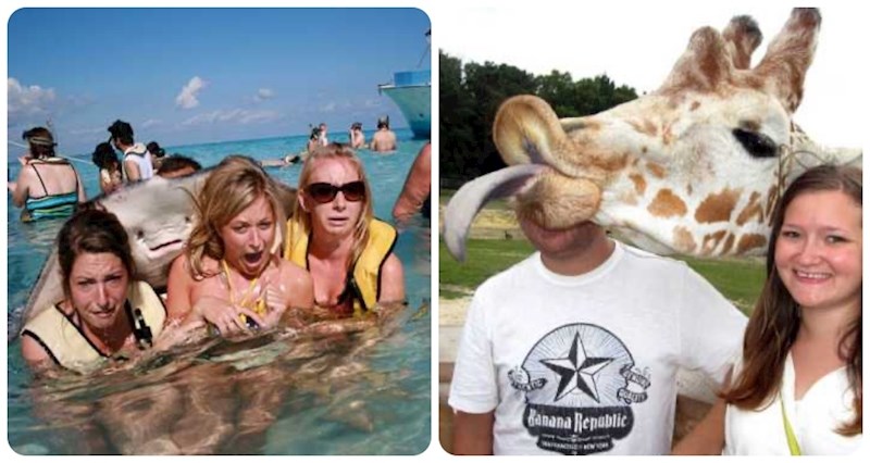 20 puta kad su se životinje ubacile u kadar i učinile fotografije sto puta boljima