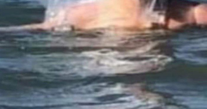 Netko je u moru snimio kupačicu koja je zbog svoje opreme za plivanje postala hit na Facebooku