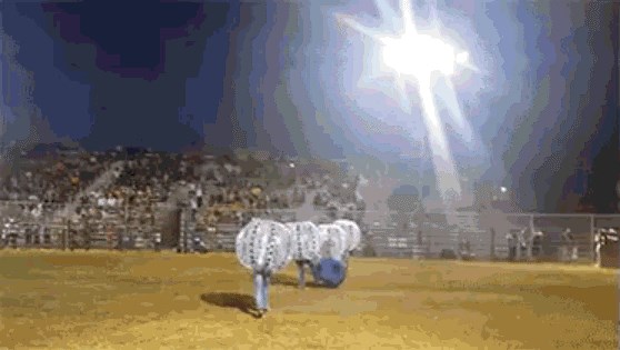 GIF: Ljudska glupost ne poznaje granice! Pogledajte ovu borbu s bikovima