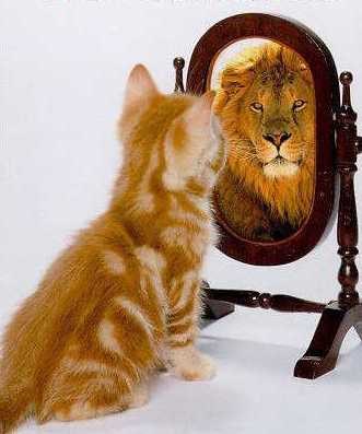 bitno je samopoštovanje..