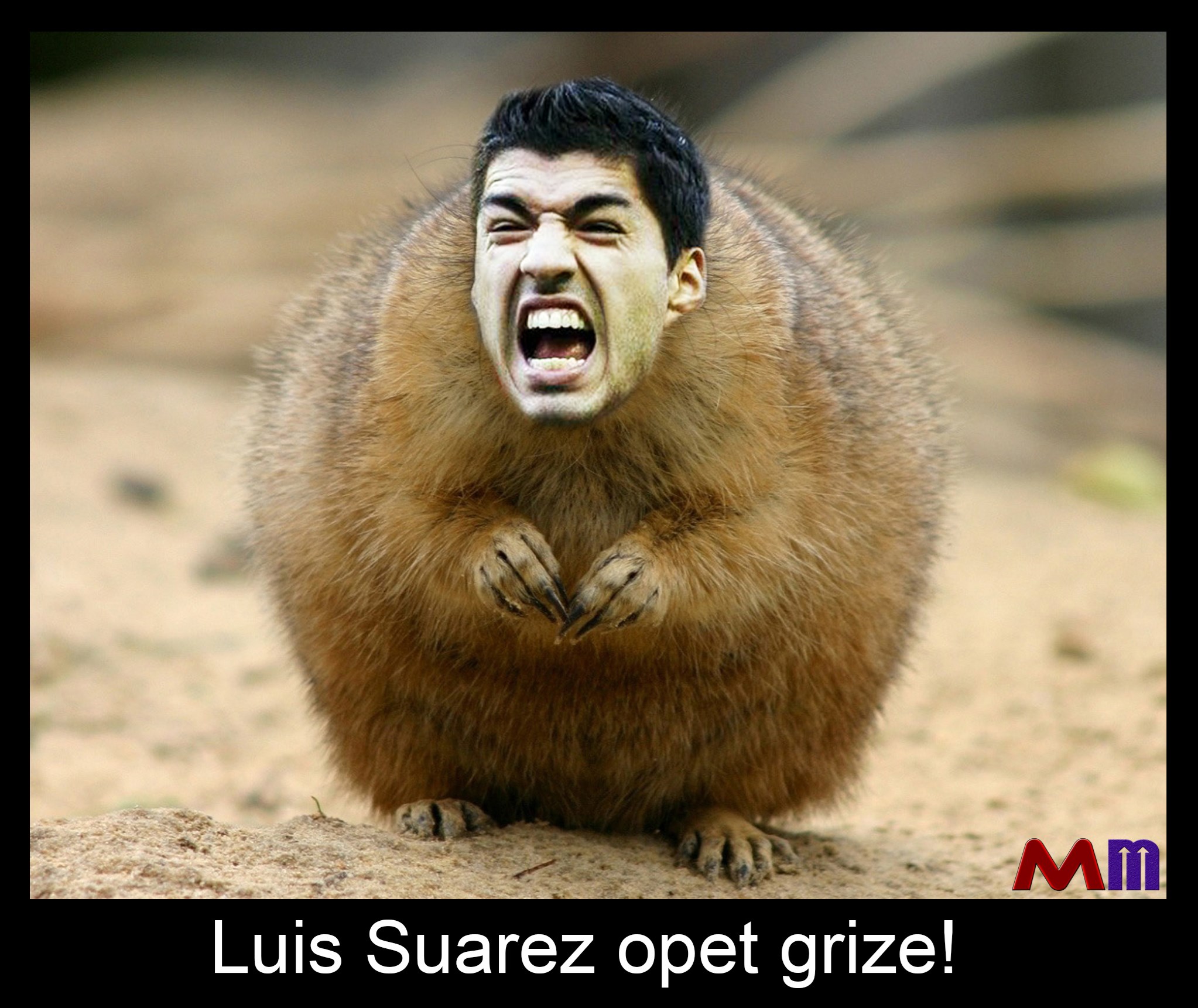 Luis Suarez opet grize!
