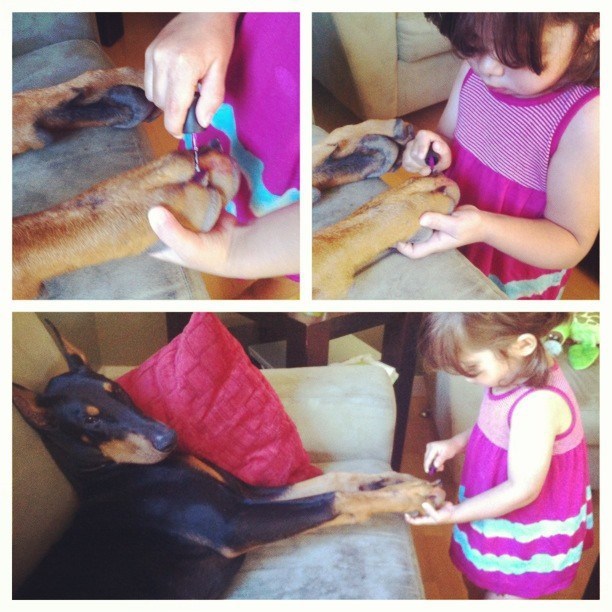 Kad ti doberman dopusti da mu lakiraš "nokte"