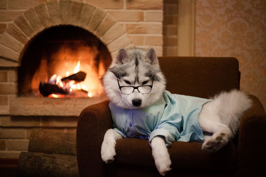 Zvonili ste milorde?