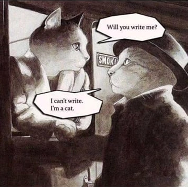 Romantika na mačji način