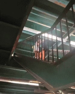 TAJNA SNIMKA Vladimire Palfi i Ivana Vilibora Sinčića