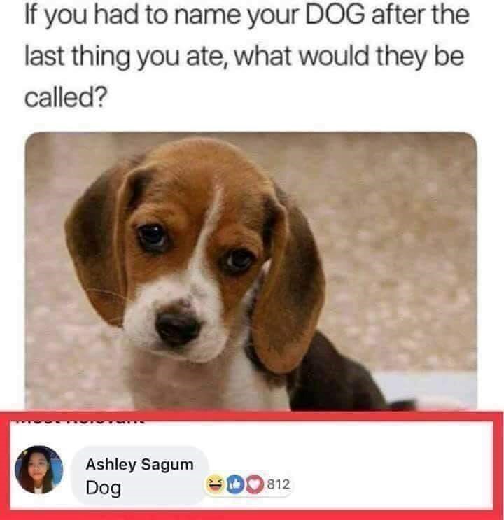 Što je zadnje jela?