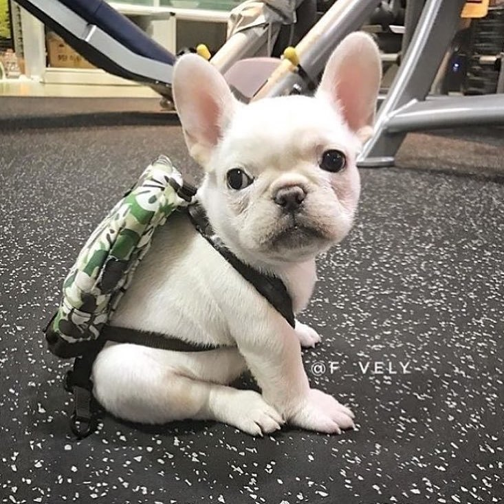 Mali dječak ide u školu