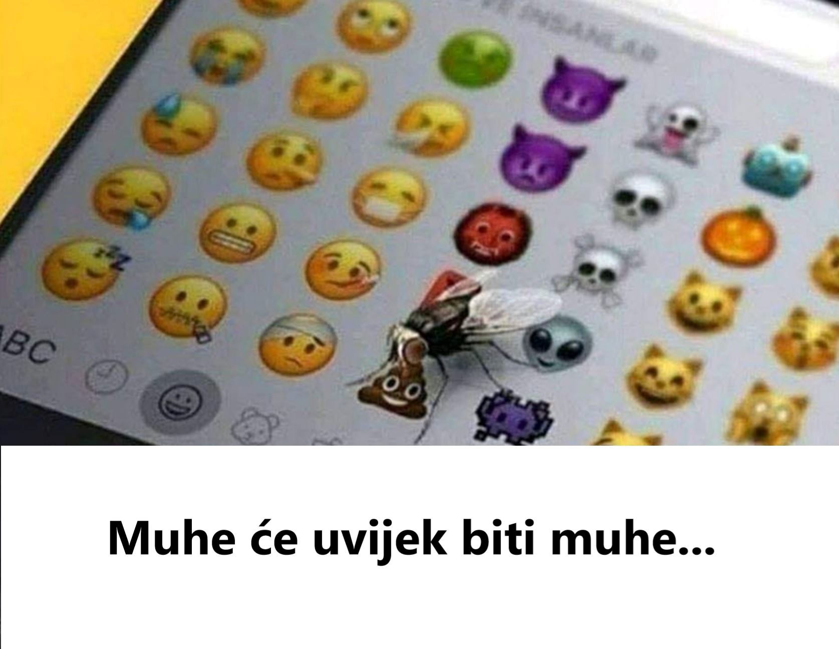 Muhe će uvijek biti muhe