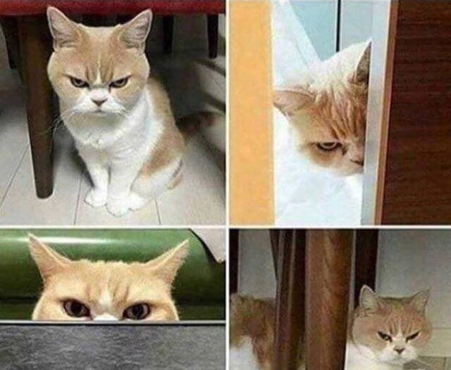 Kad ti cura kaže da nije ljuta