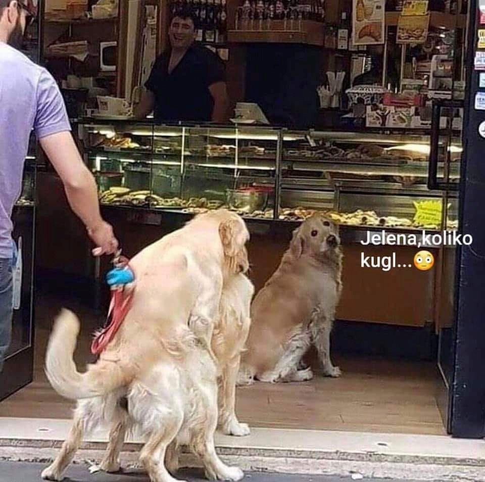 Jelena, kako si mogla?