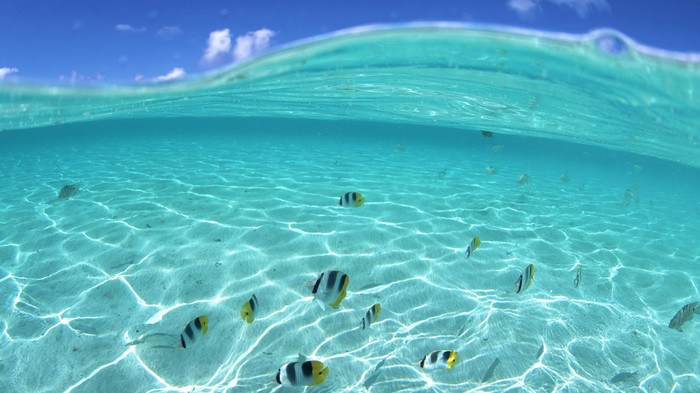 Hawaii