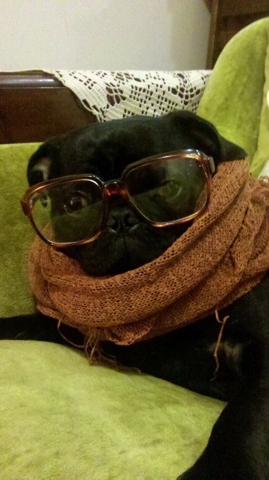 Mali fura bakine naočale