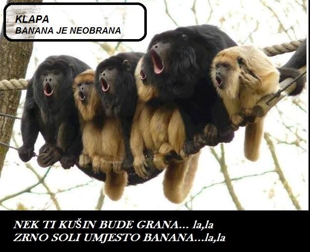 Nek ti kušin bude...