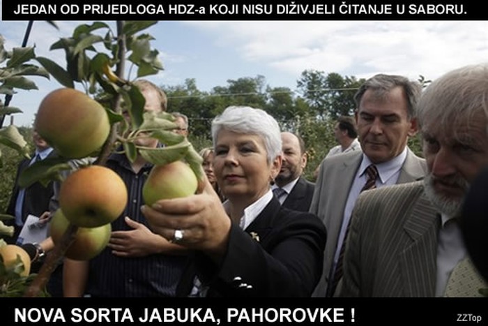 Nova sorta jabuka