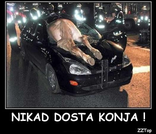 Nikad dosta konja