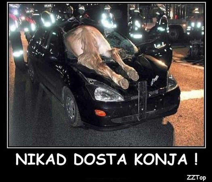 Nikad dosta konja