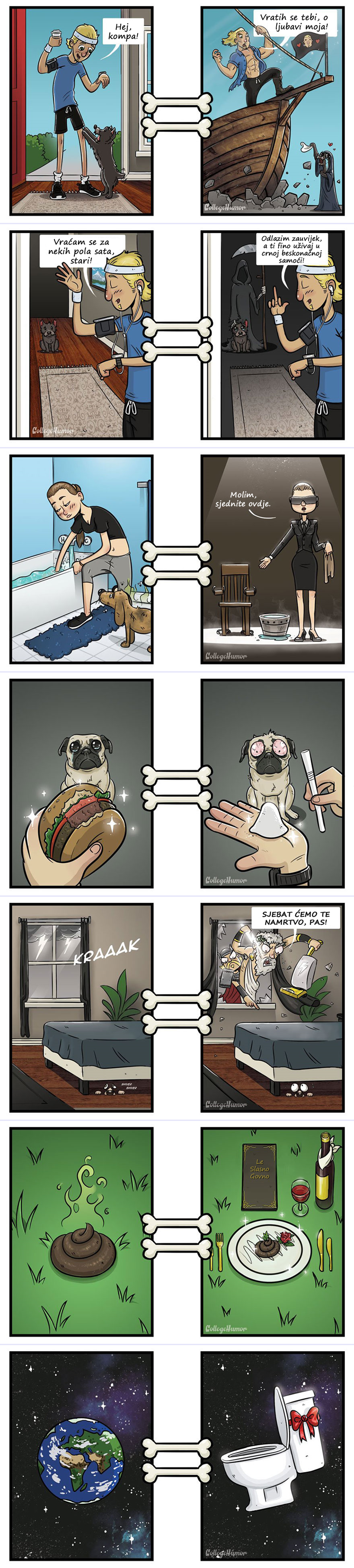 KAKO PSI VIDE SVIJET: U sedam duhovitih ilustracija