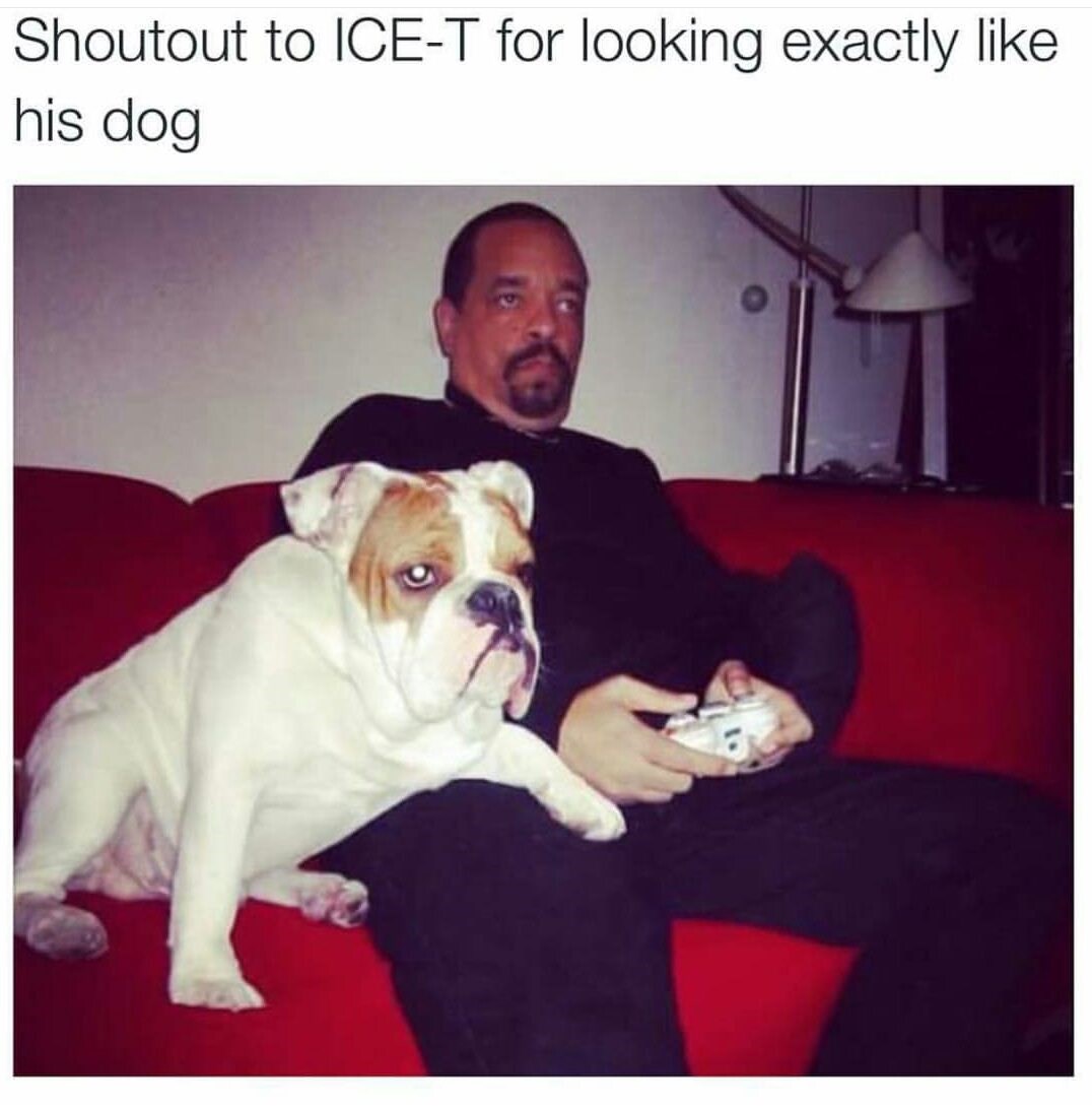 Brotha from anotha motha.