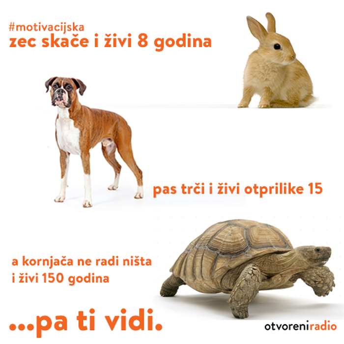 Pametno.