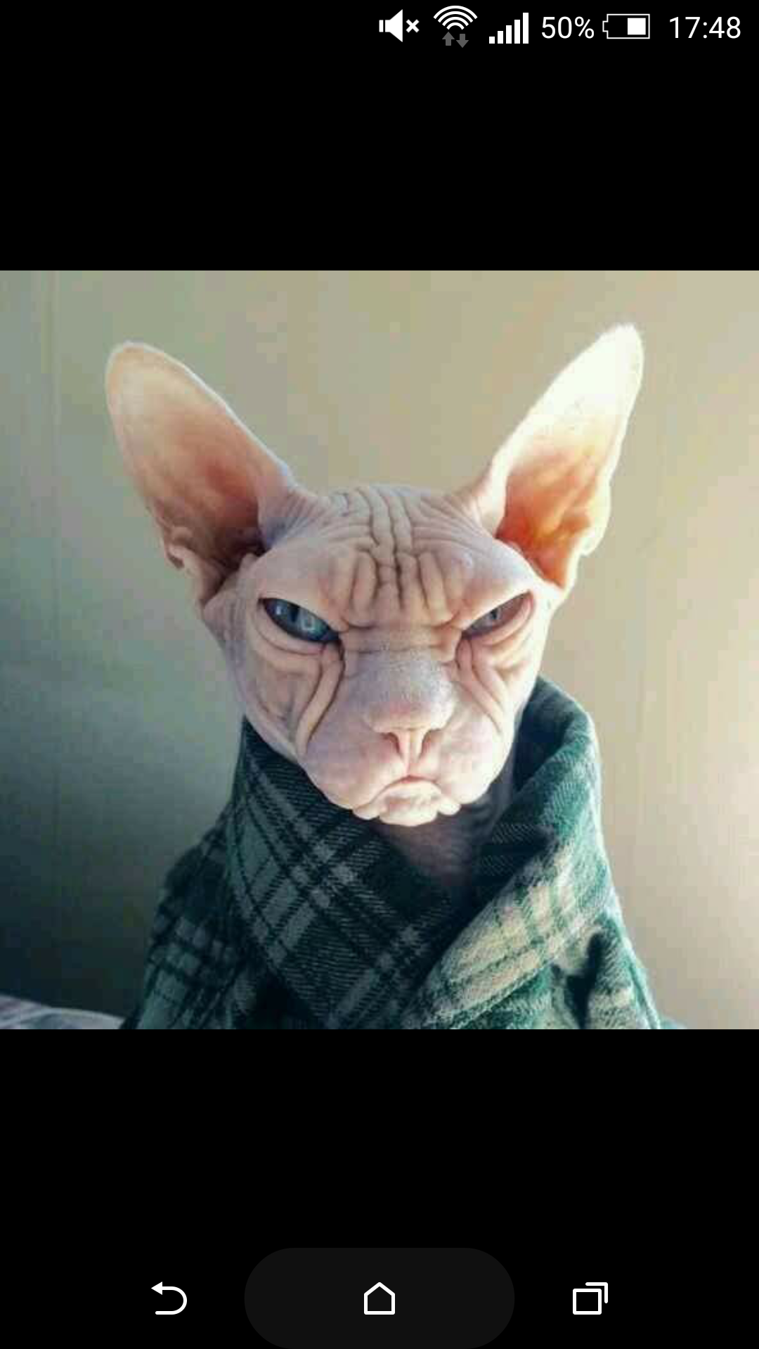 I woke up like this.