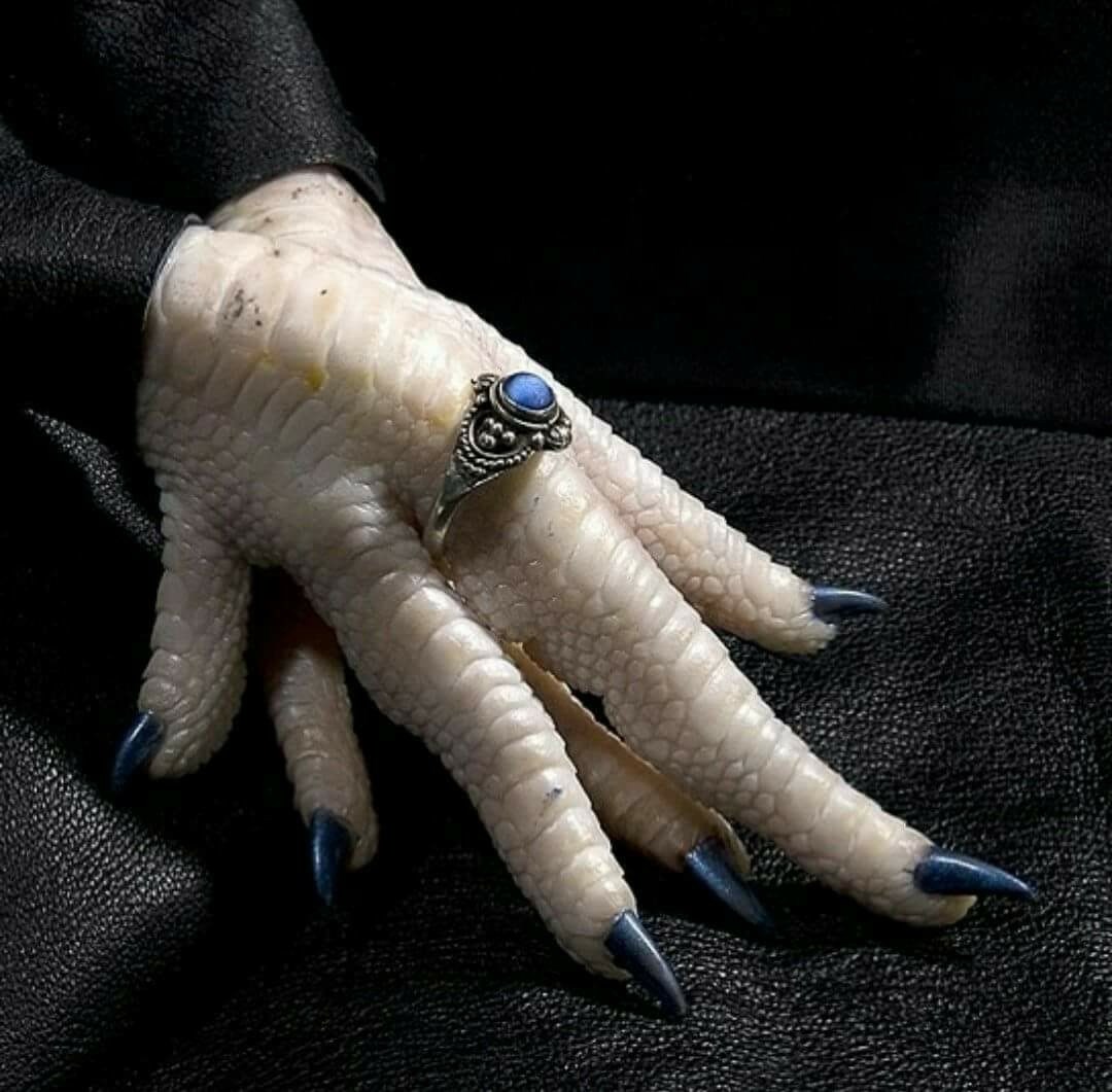 Iwana Nokti Privatno Dugave