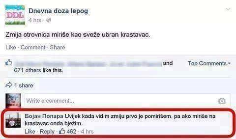 Kako prepoznati otrovnicu.