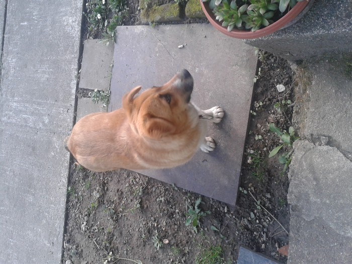 20130413_172615.jpg