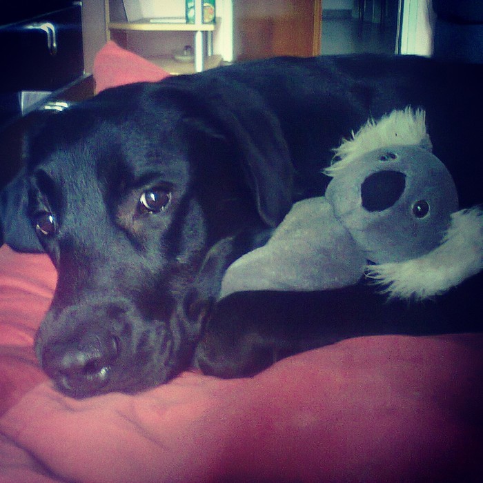 Ares