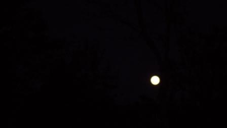 Ni mrak nije savršen. ;)