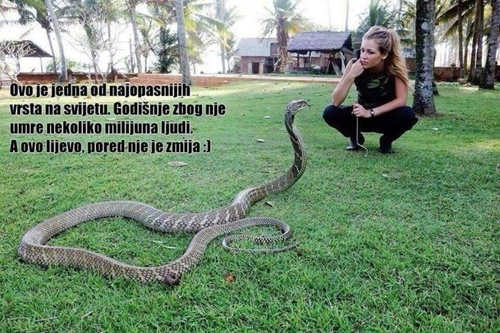 najopasnija vrsta