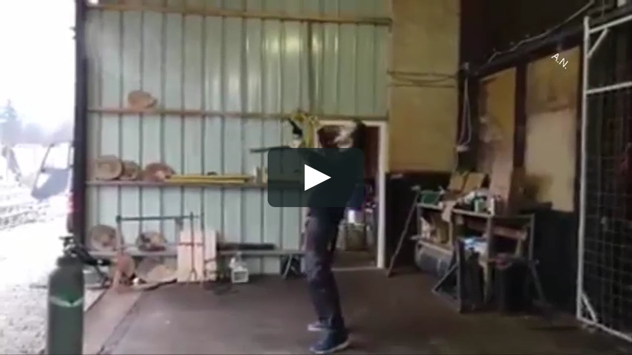 djurdjevdan....malo ga ponijelo...:)))...