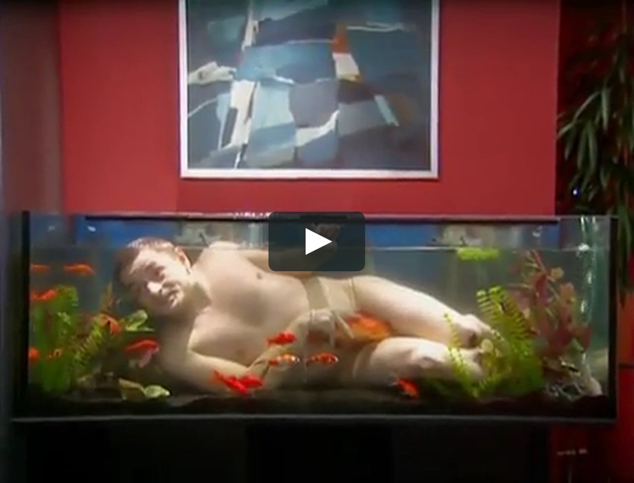 ljubavnik....trazi se....:)...