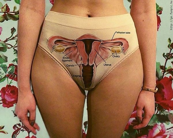 anatomija za neznalice