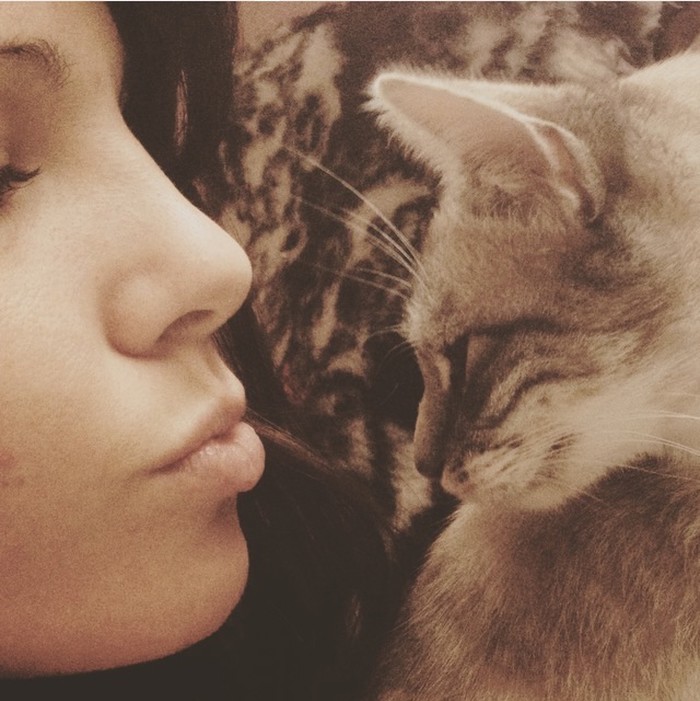 love