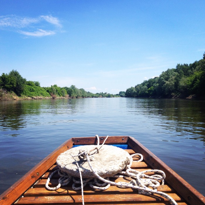Sava