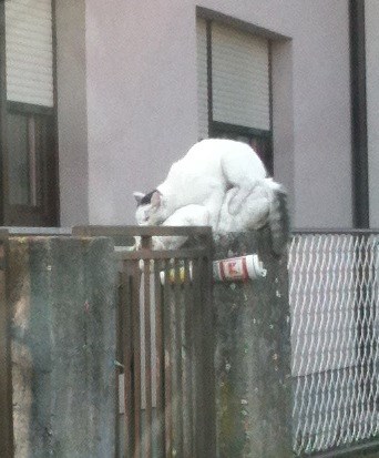 Nije bitno mjesto, bitna je ljubav!