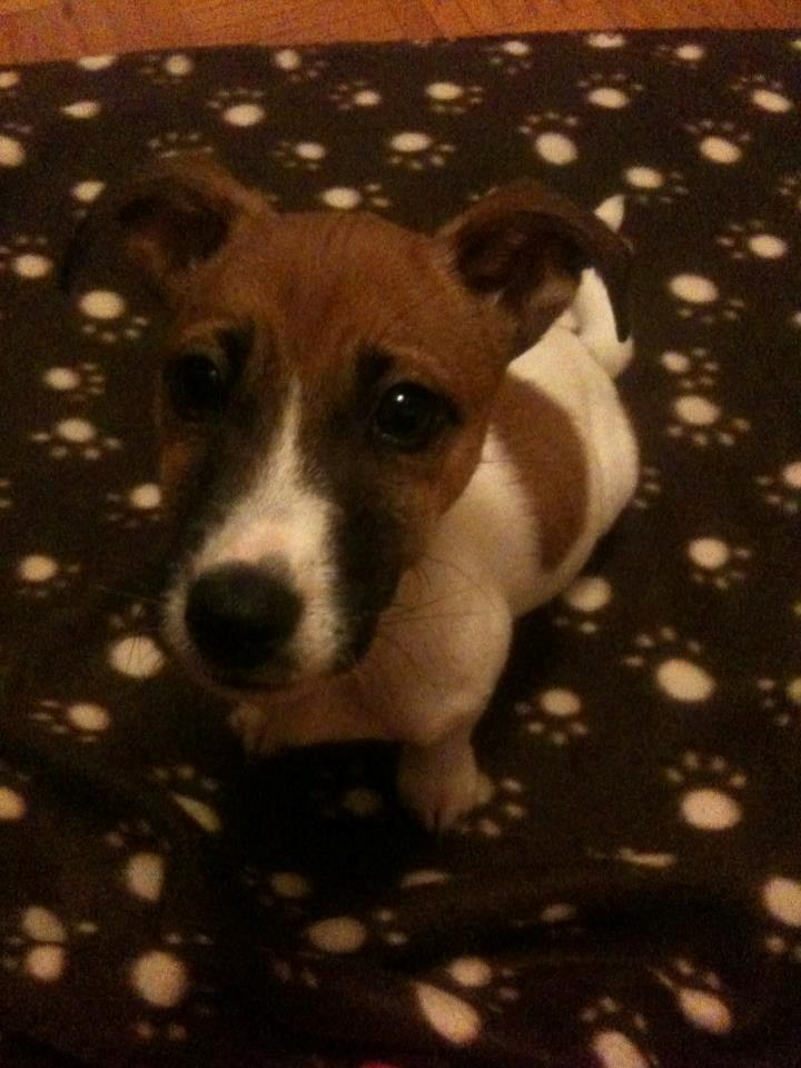 Winnie..ali inzistira da ju pred ekipom zovemo Spike..:D