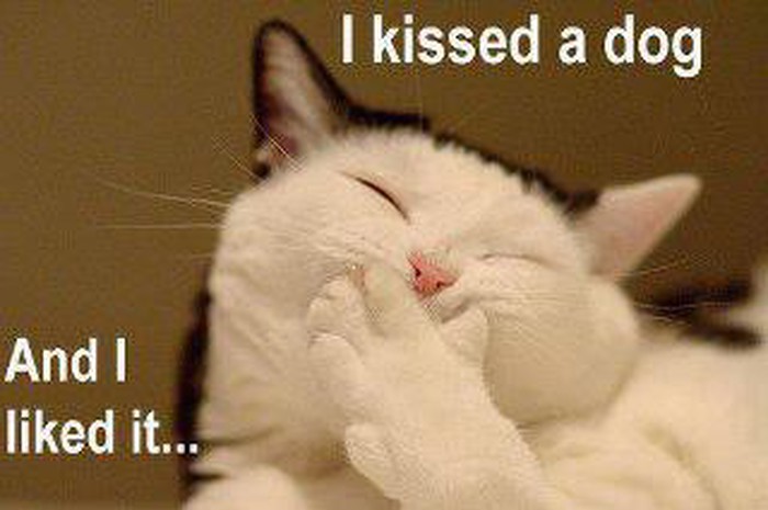 Hahaha