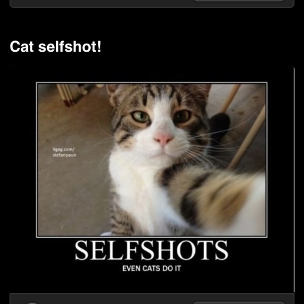 Treba joj za profilnu na fb... :)))))