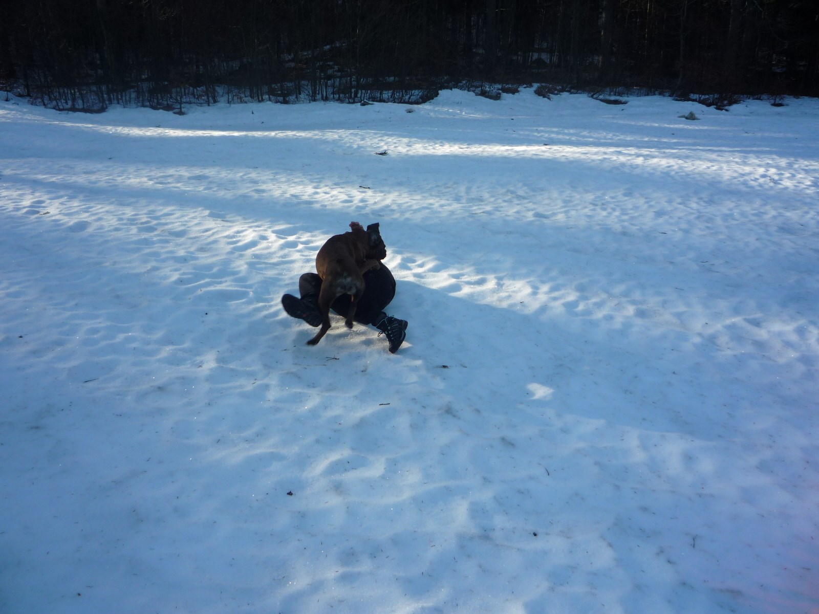 Noa uživa u igri na snijegu