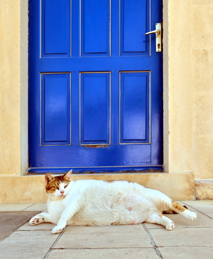 Siesta