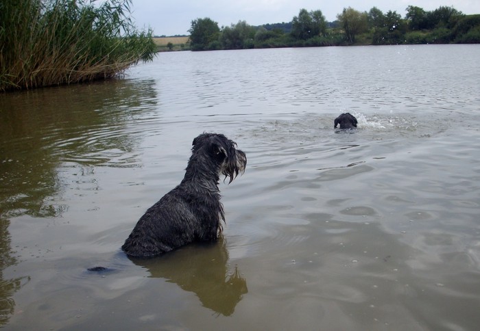 Chilling in the lake