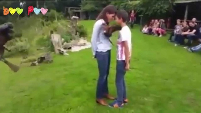 VIDEO: Preciznost predatora