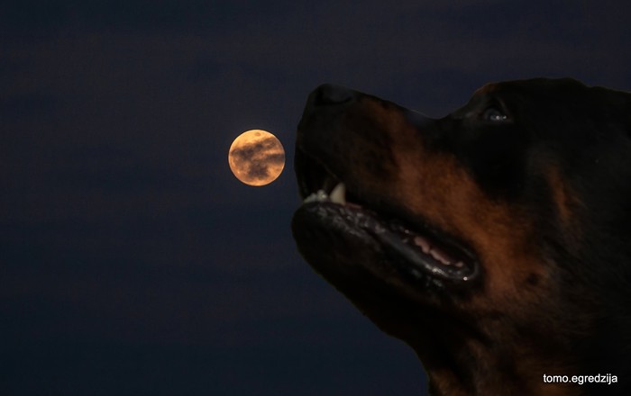 Ares