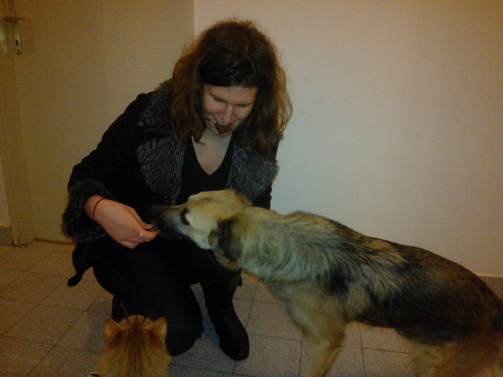 Svi volimo slatko :)