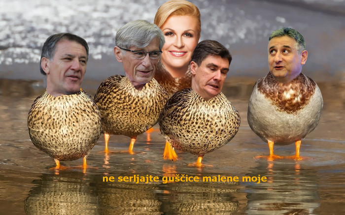Patkice u pohodu