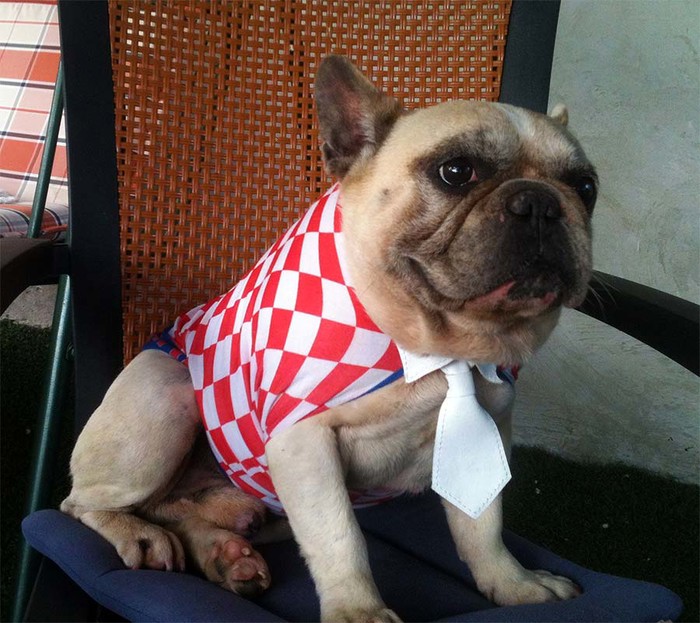 Bordomax Vatreni
