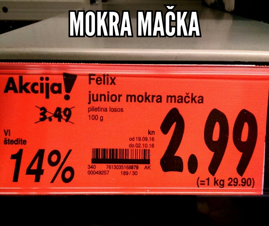 MOKRA MAČKA.jpg